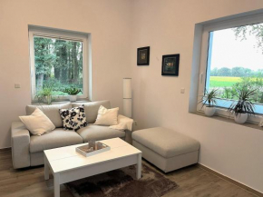 sanierte ruhige Wohnung in der Natur mit Küche